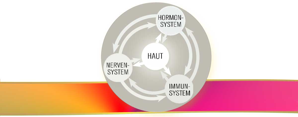 Regulative Hauttherapie