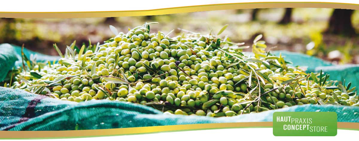Bio Extra natives Olivenöl